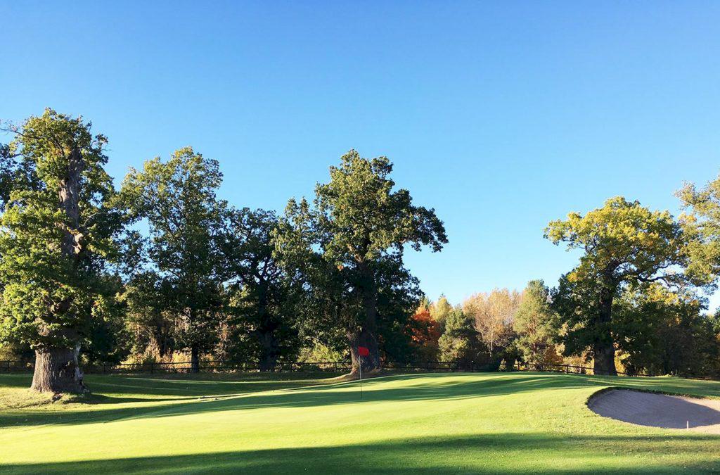 golfbana i sverige i ekskog