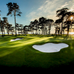 golfbana i sverige med sandbunker och tallar