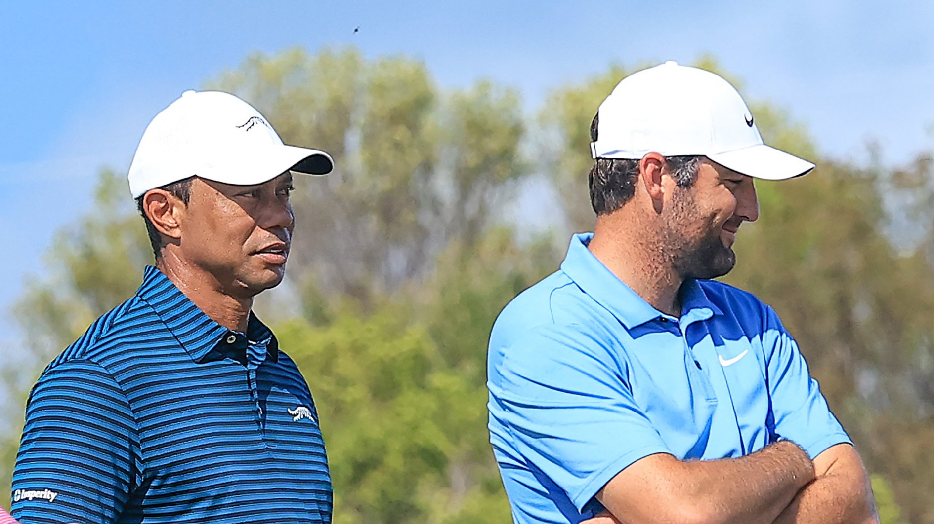 golfspelarna tiger woods och scottie scheffler