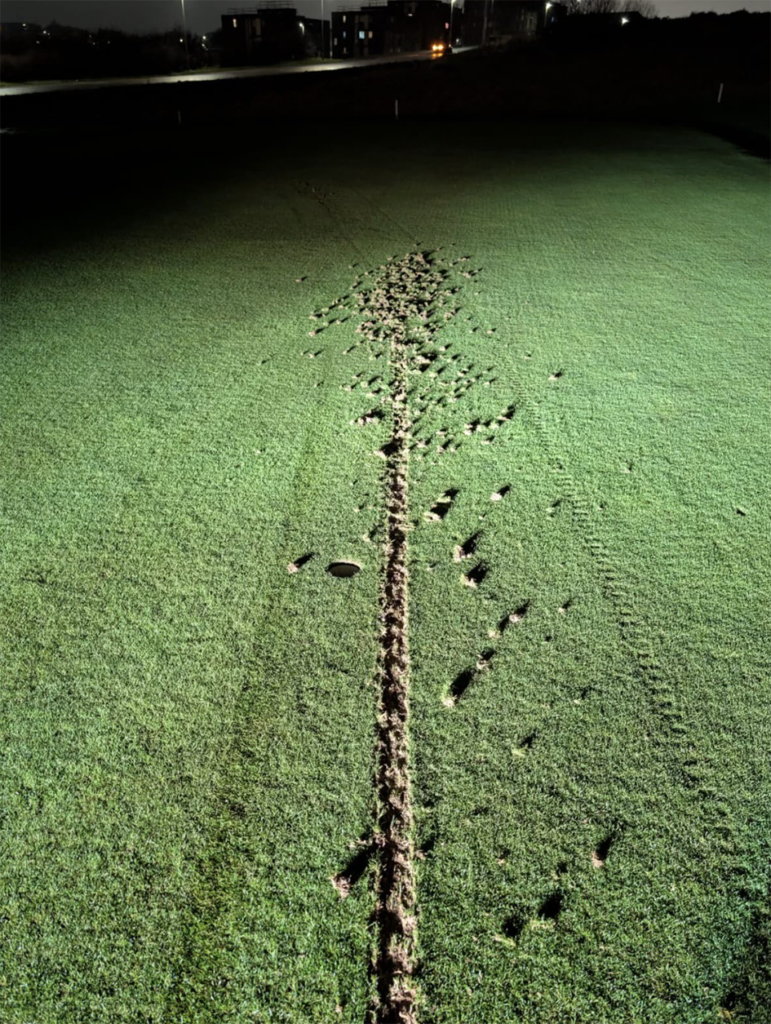 skadegörelse på golfbana