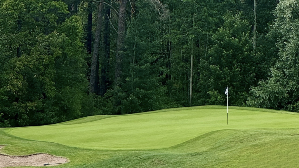 golfbana, golfgreen, golfbunker, blandskog