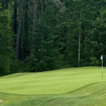 golfbana, golfgreen, golfbunker, blandskog