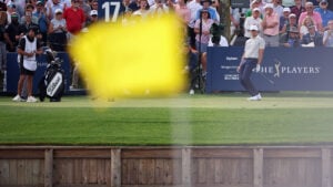 golfspelare, golfbana, flagga, vattendamm