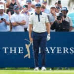 golfspelare, golfbana, publik