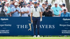 golfspelare, golfbana, publik