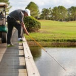 man, golfbil, bollhåv, damm, vatten, gräs, träd