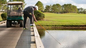 man, golfbil, bollhåv, damm, vatten, gräs, träd