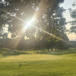 golfbana, solljus, träd