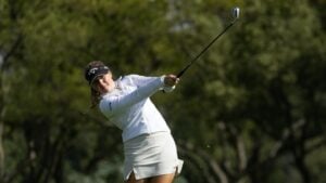 Arwefjäll Johannesburg