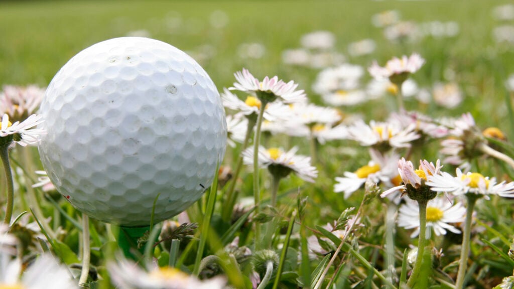 golfboll bland blommor och gräs