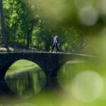 golfspelare går över stenbro över bäck på golfbana