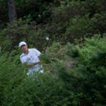 golfspelare spelar golf från buskar och träd