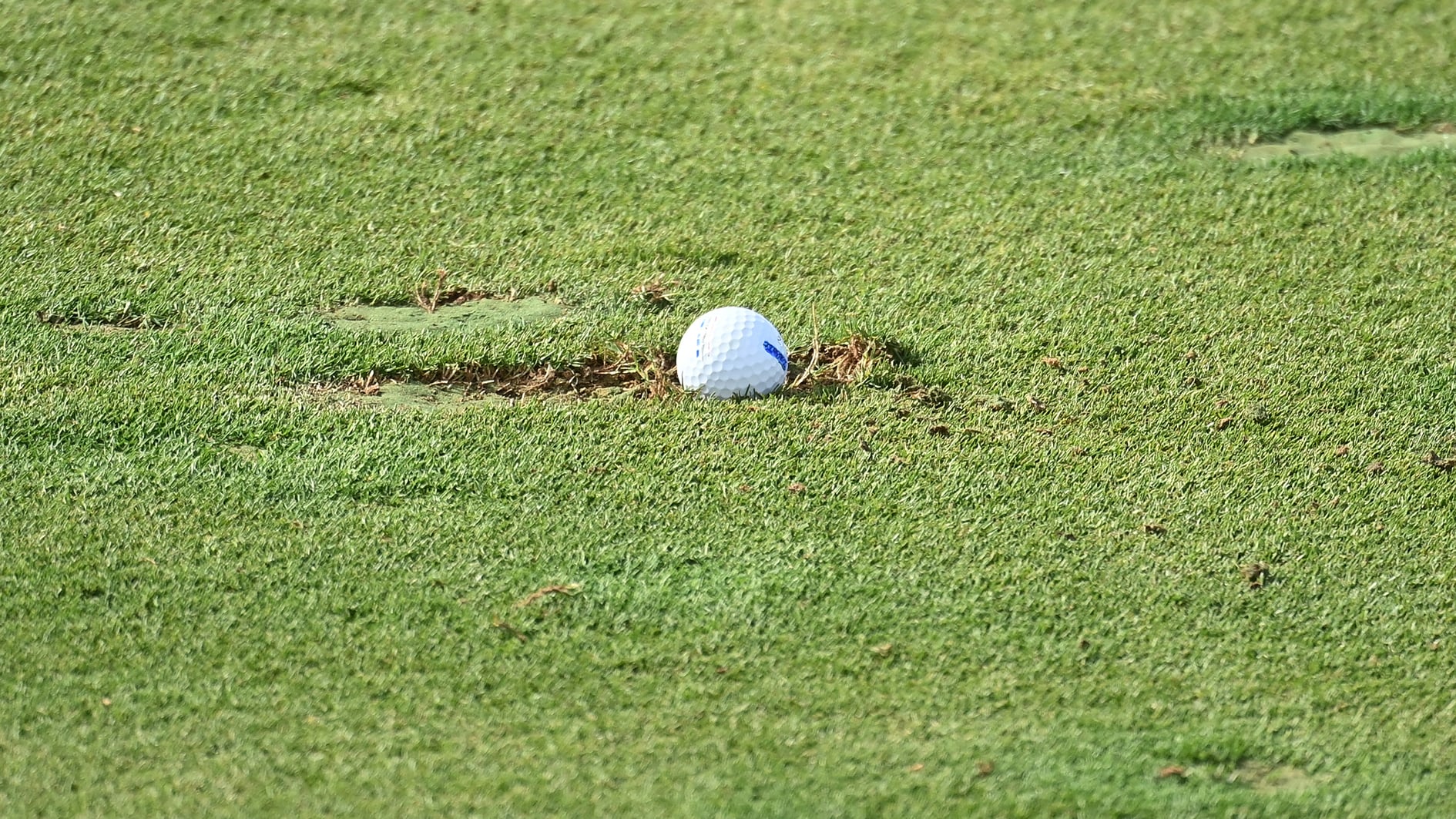golfboll i uppslagen torv på golfbana