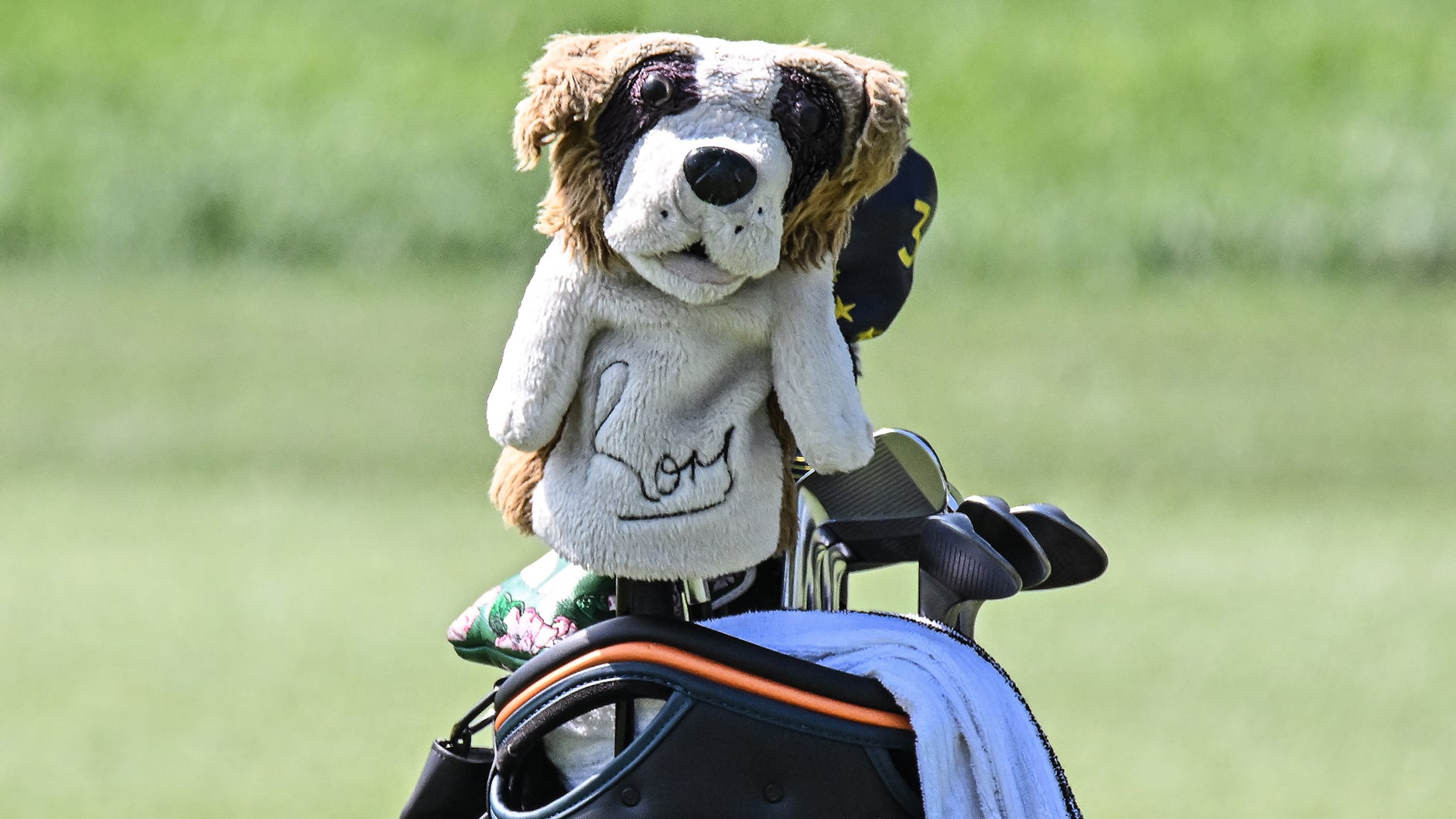 golfbag på golfbana, hundheadcover