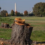 golfbana i washington dc